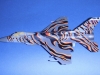 16-jsg-ac-revell-f16c-tiger-meet-2003-by-gary-jordan