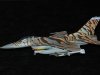 5-jsg-ac-revell-f16c-tiger-meet-2003-by-gary-jordan