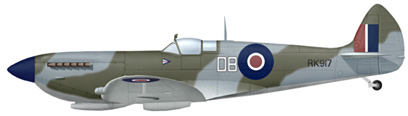 Douglas Bader Spitfire