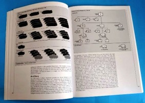 4 Panzer Div 1944-45