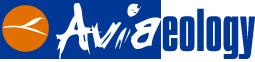 Aviaeology logo