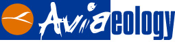 Logo di aviaeologia