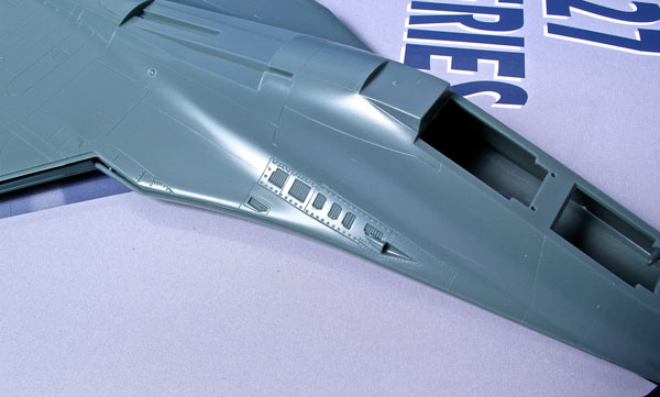 Flanker-03