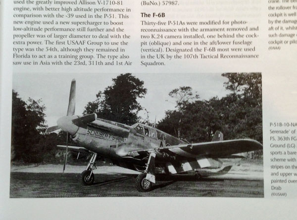 3-BR-Ac-Valiant-Wings-Pub-AM-No6-Early-P51-Mustangs