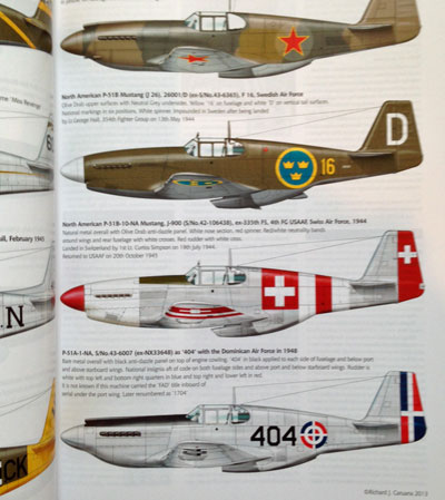 5-BR-Ac-Valiant-Wings-Pub-AM-No6-Early-P51-Mustangs