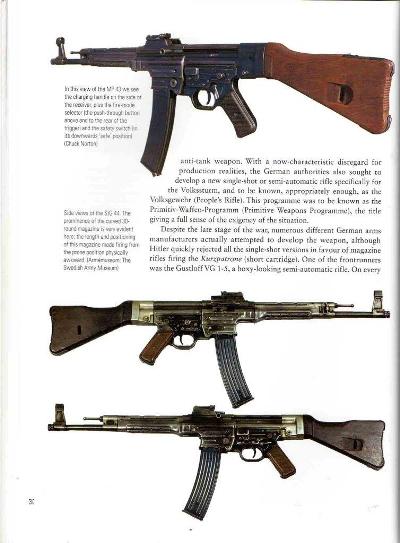 German Auto Rifles 04