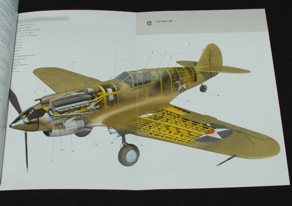 2-BR-Ac-Osprey-Curtiss-P-40