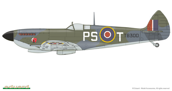 TB300, fløyet av G/C Stan Turner, nr. 127 Wing, Evere Airfield, Belgia, april, 1945