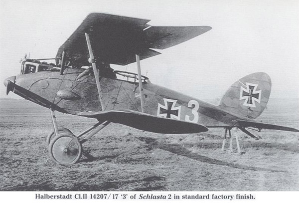 German Aircraft in Polish Service: Volume 1 Halberstadt Cl.II, Cl