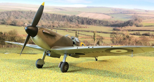 kotare spitfire
